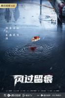 《风过留痕全集》国产剧免费在线观看
